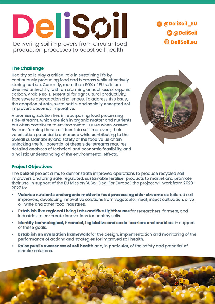 DeliSoil factsheet DeliSoil factsheet