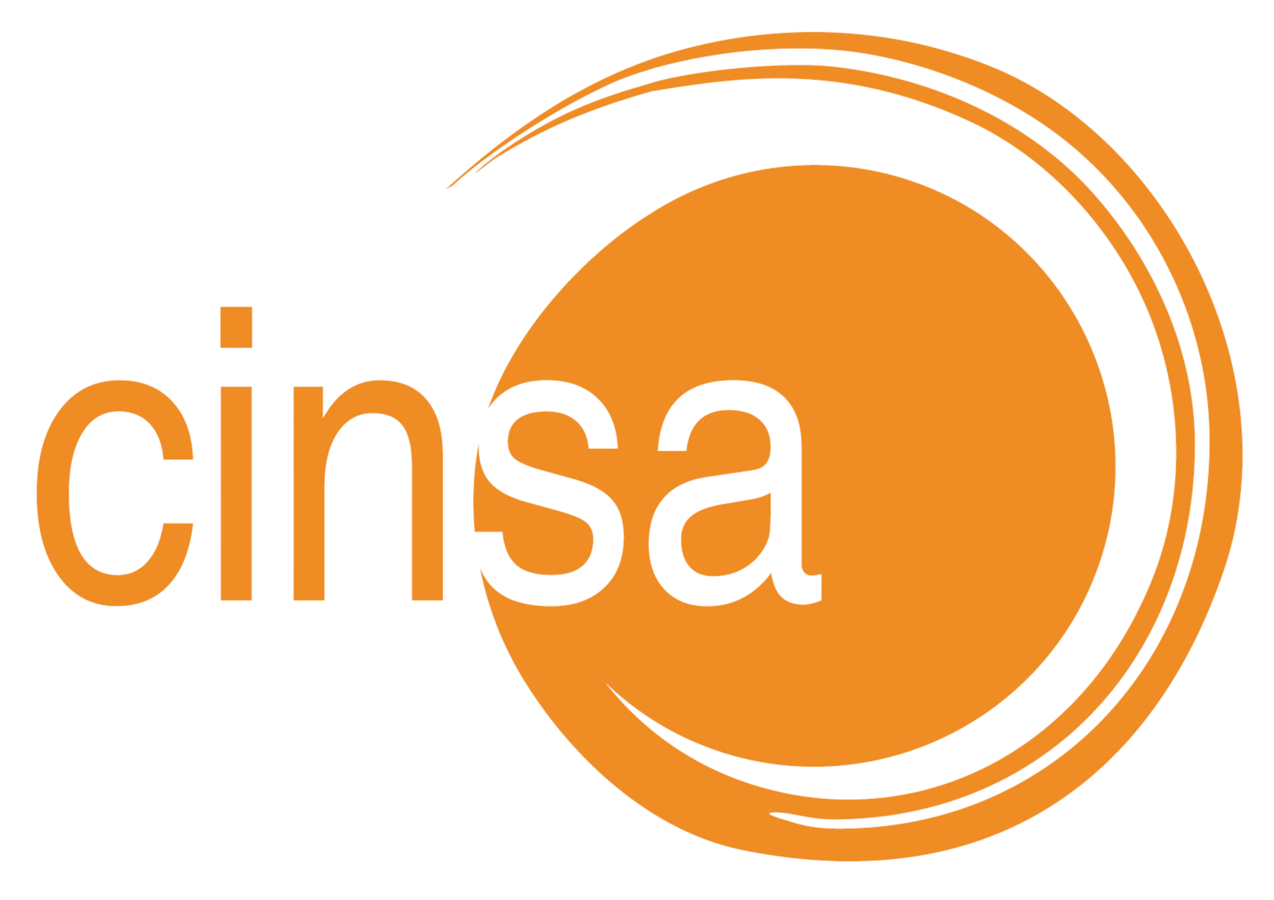 CINSA logo